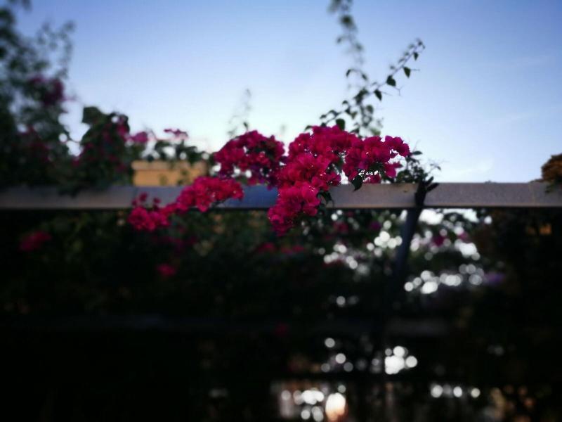 Santa Caterina Hotel Pompei Bagian luar foto